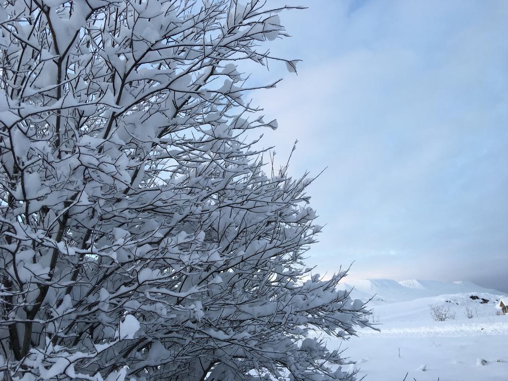Aurora Vacation Homes Fagravik Akureyri Bagian luar foto